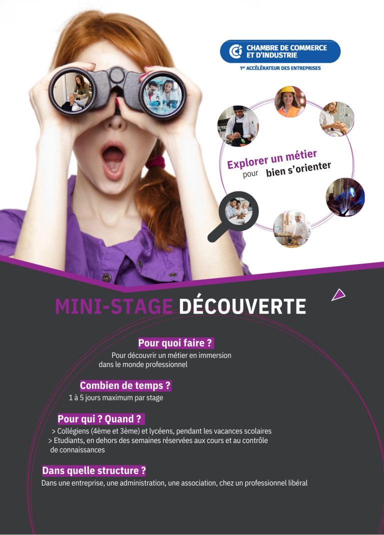 affiche explication mini stage cci vendée